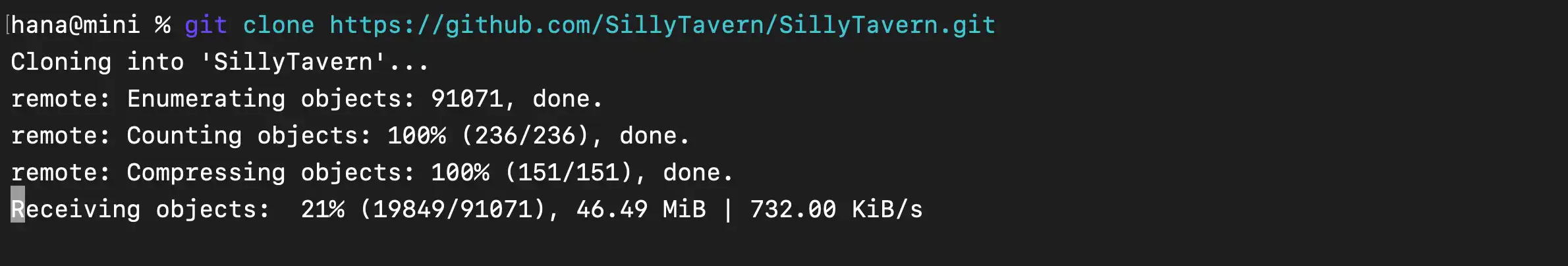 Silly Tavern 启动 - 终端中的执行屏幕